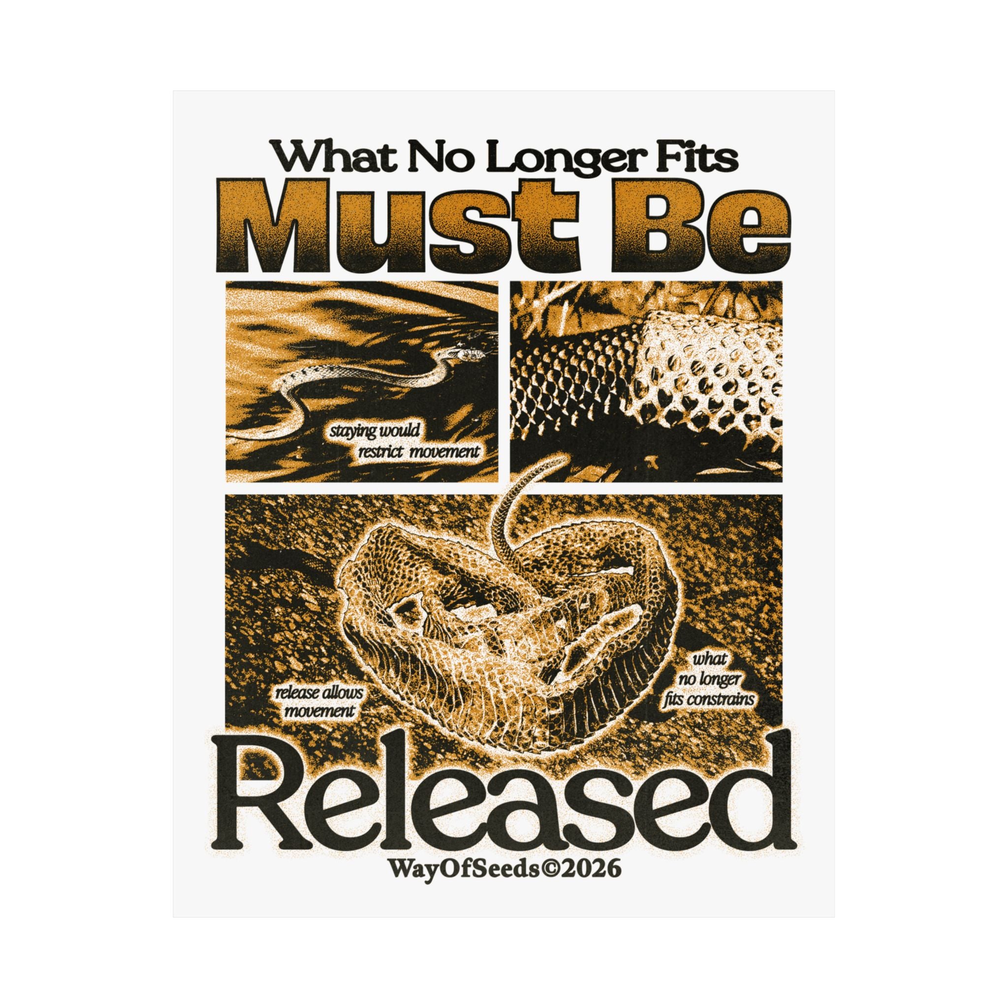 What No Longer Fits Must Be Released - Poster