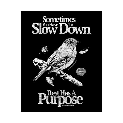 Slow Down - Poster