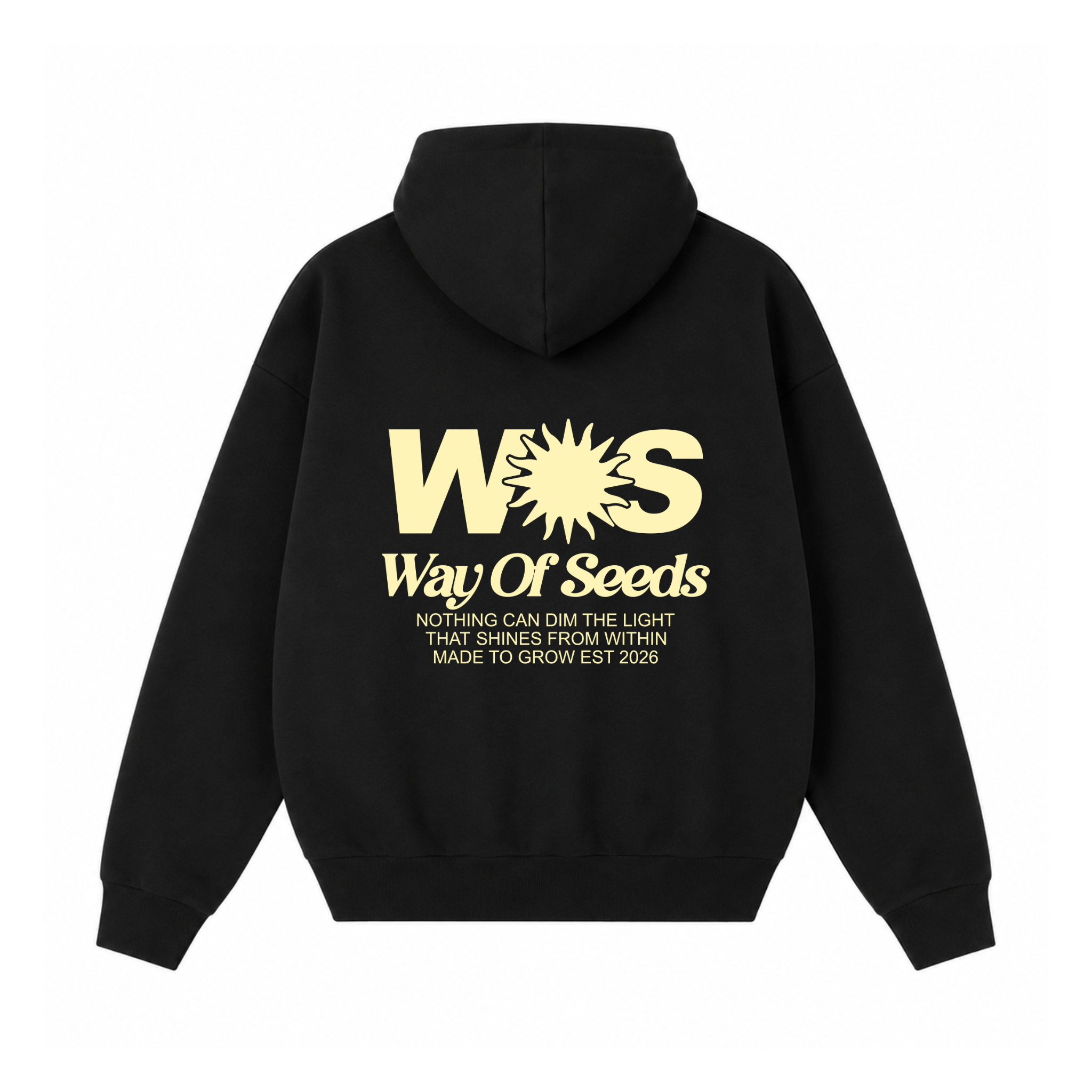 LIGHT THAT SHINES WITHIN ZIP HOODIE