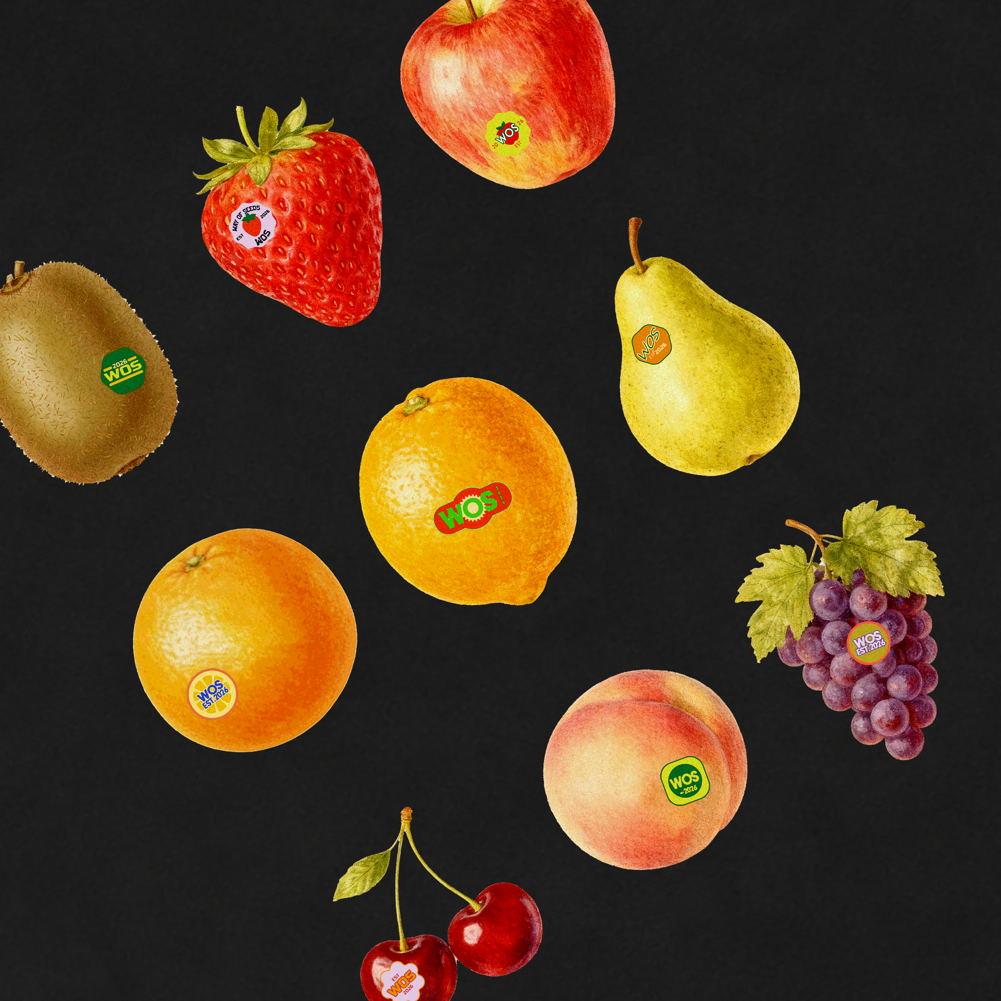 THE FRUIT TEE