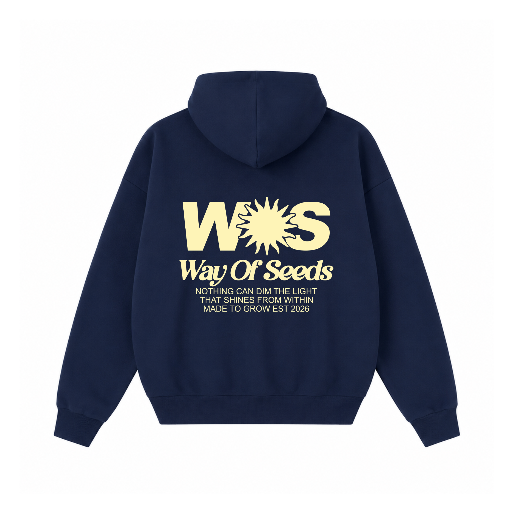 LIGHT THAT SHINES WITHIN ZIP HOODIE