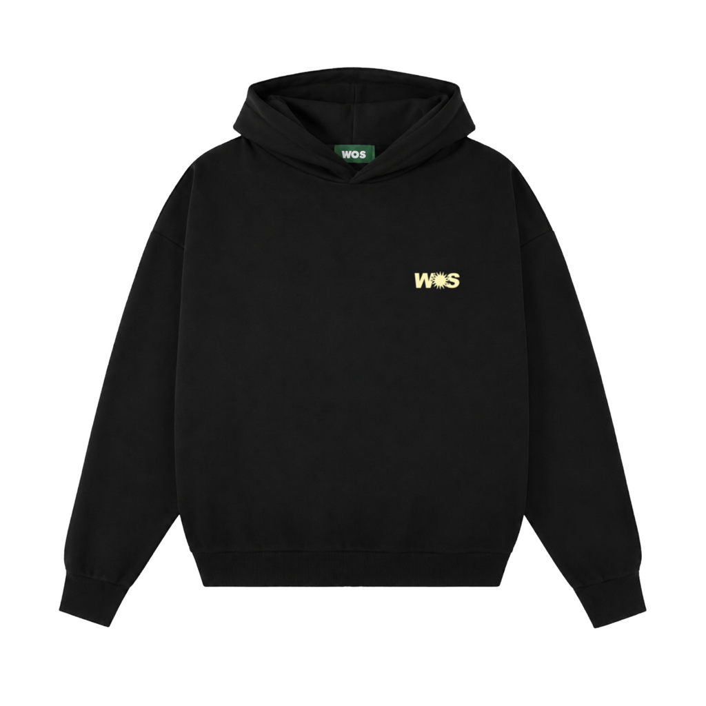 LIGHT THAT SHINES WITHIN HOODIE