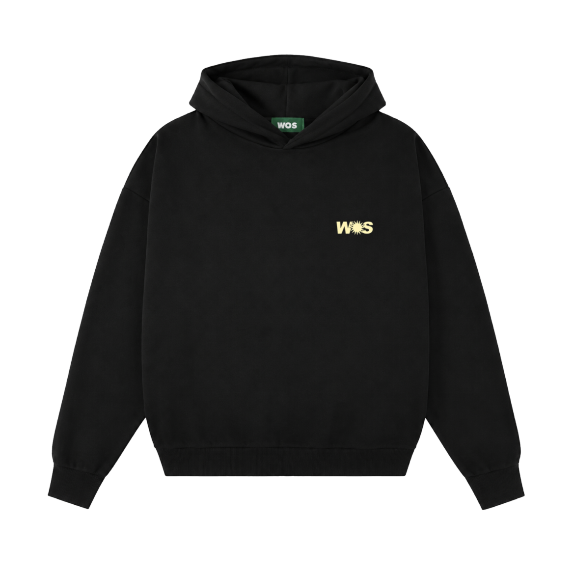 LIGHT THAT SHINES WITHIN HOODIE