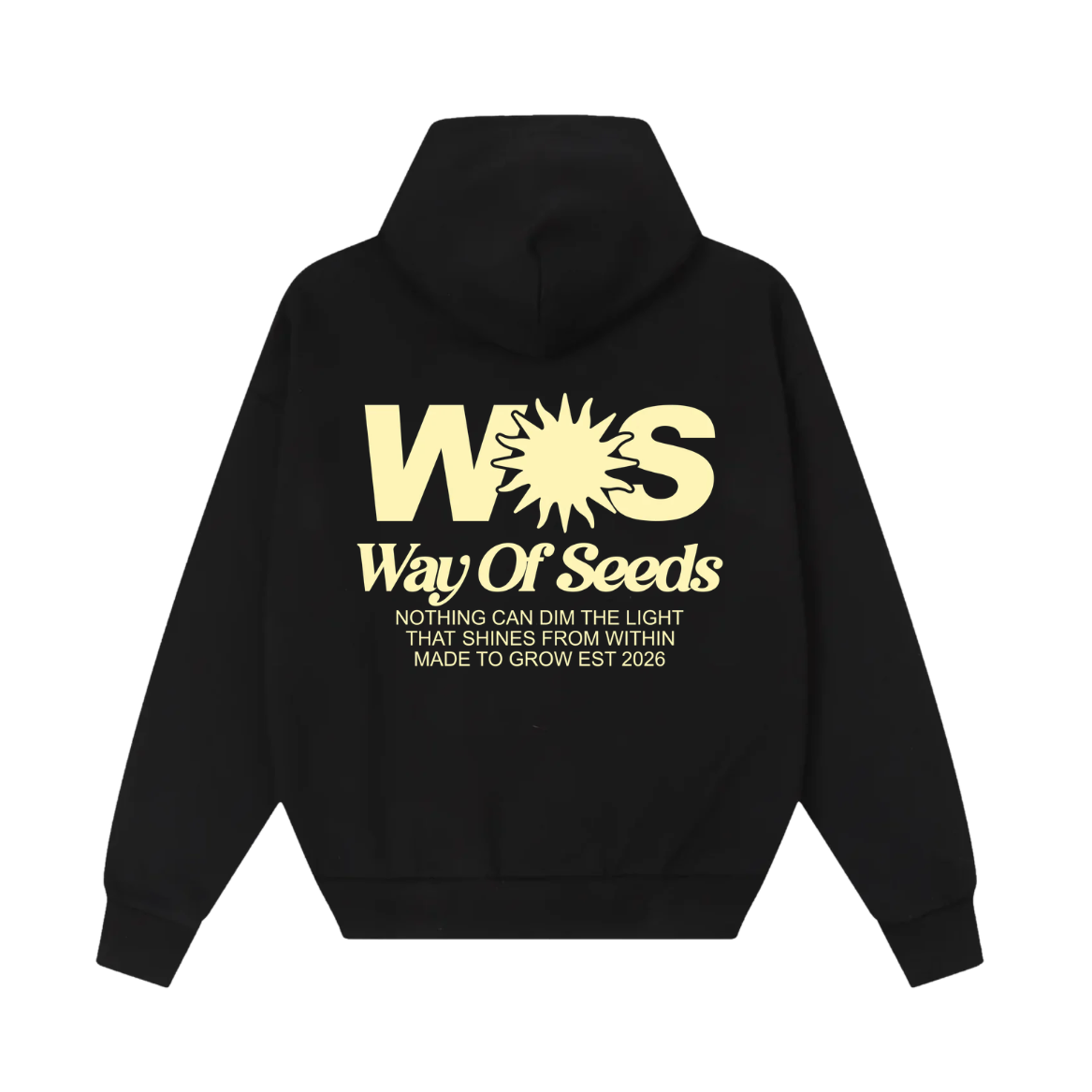 LIGHT THAT SHINES WITHIN HOODIE