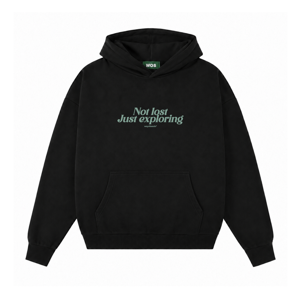 NOT LOST JUST EXPLORING HOODIE