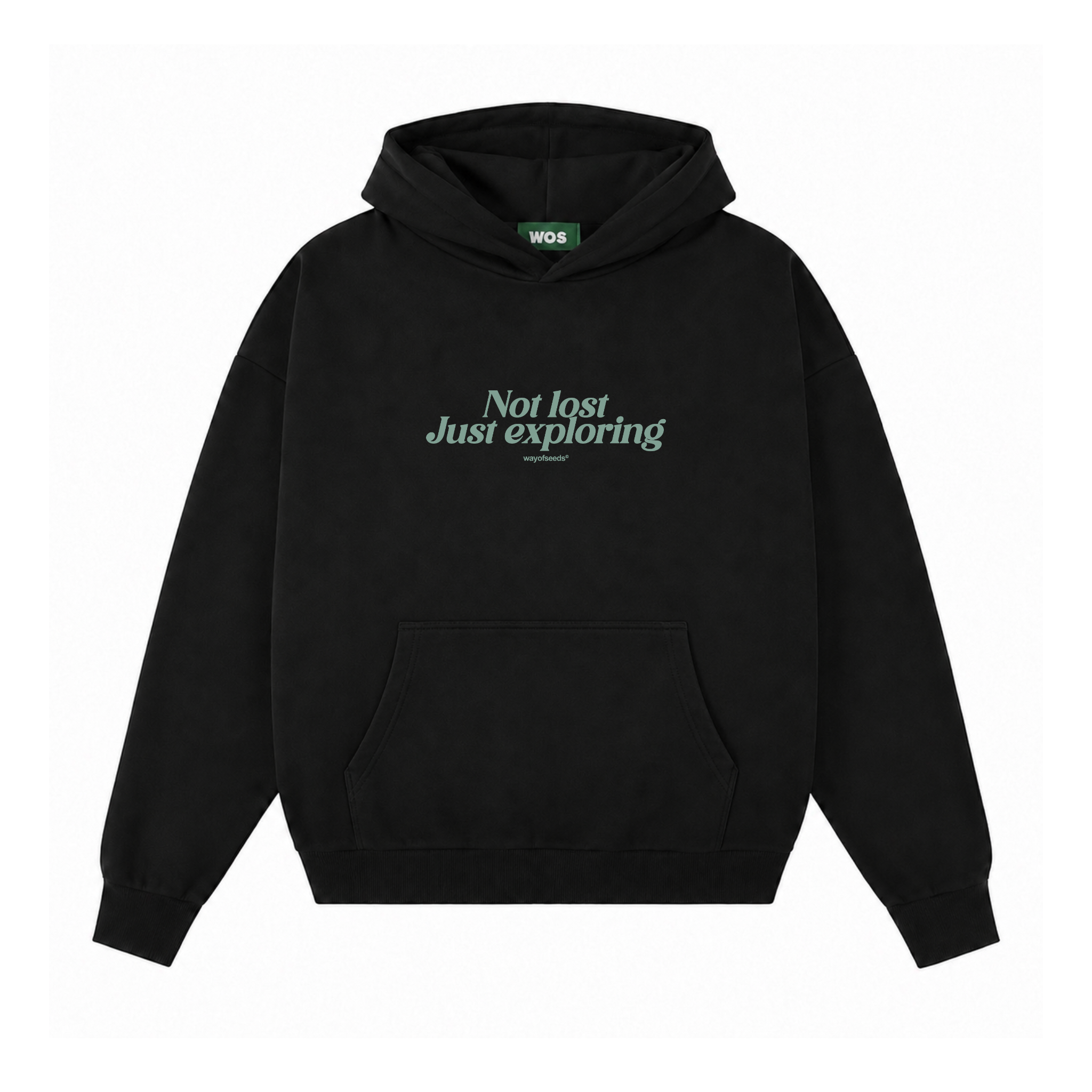 NOT LOST JUST EXPLORING HOODIE