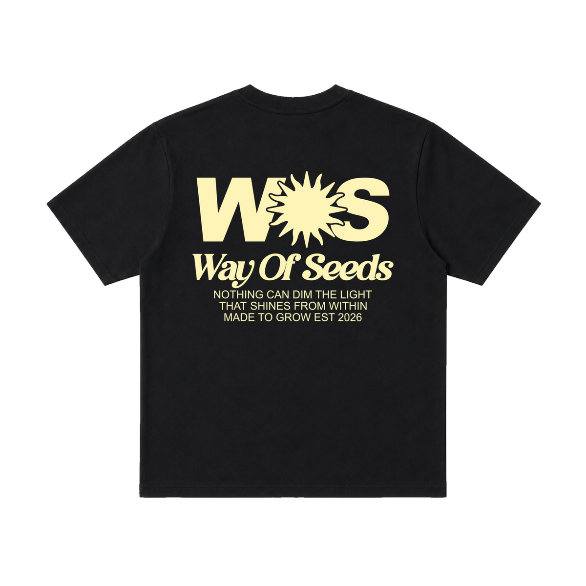 Light That Shines Within Tee