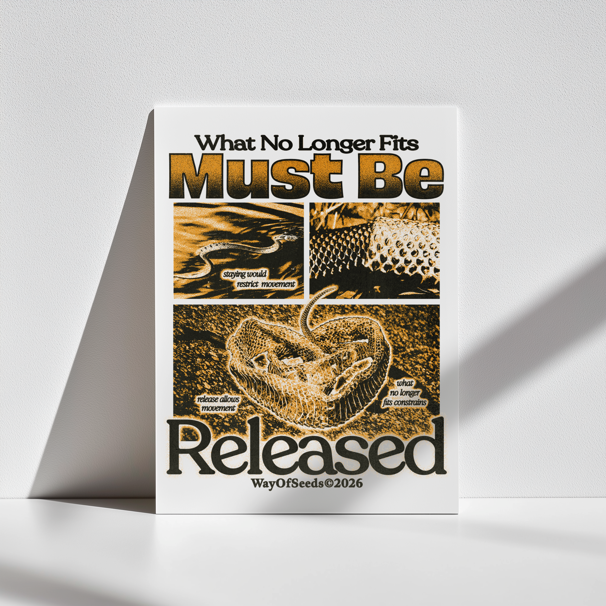 What No Longer Fits Must Be Released - Poster